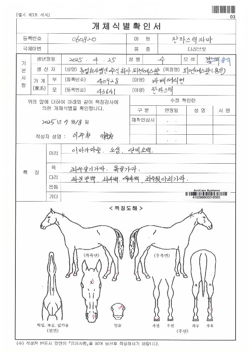 ��Ÿ��ƽ�ڸ��� ����,���,�޸�,�λ�,�ٸ��� Ư¡����