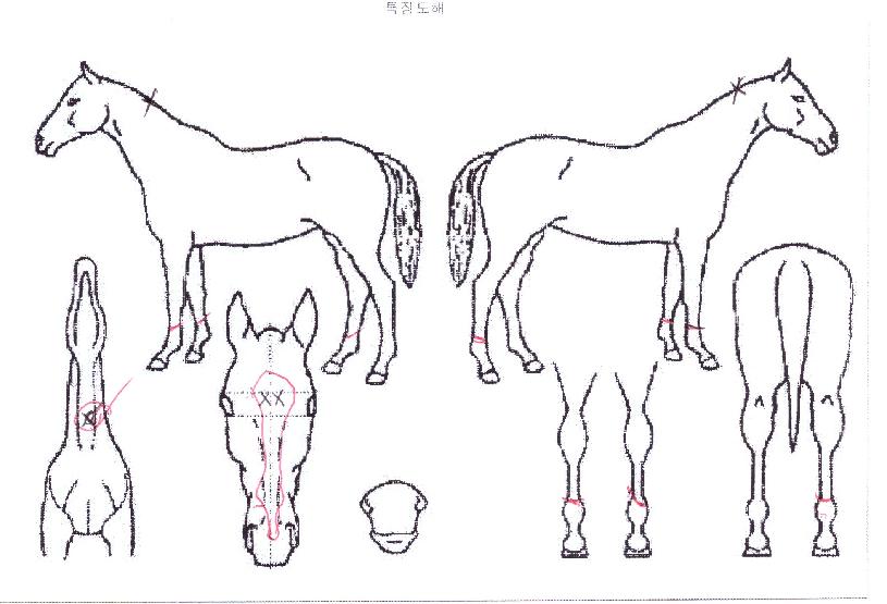 ����Ʈ������Ÿ�� ����,���,�޸�,�λ�,�ٸ��� Ư¡����