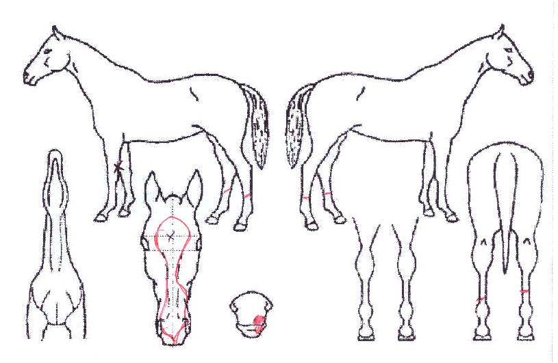 �̽������� ����,���,�޸�,�λ�,�ٸ��� Ư¡����