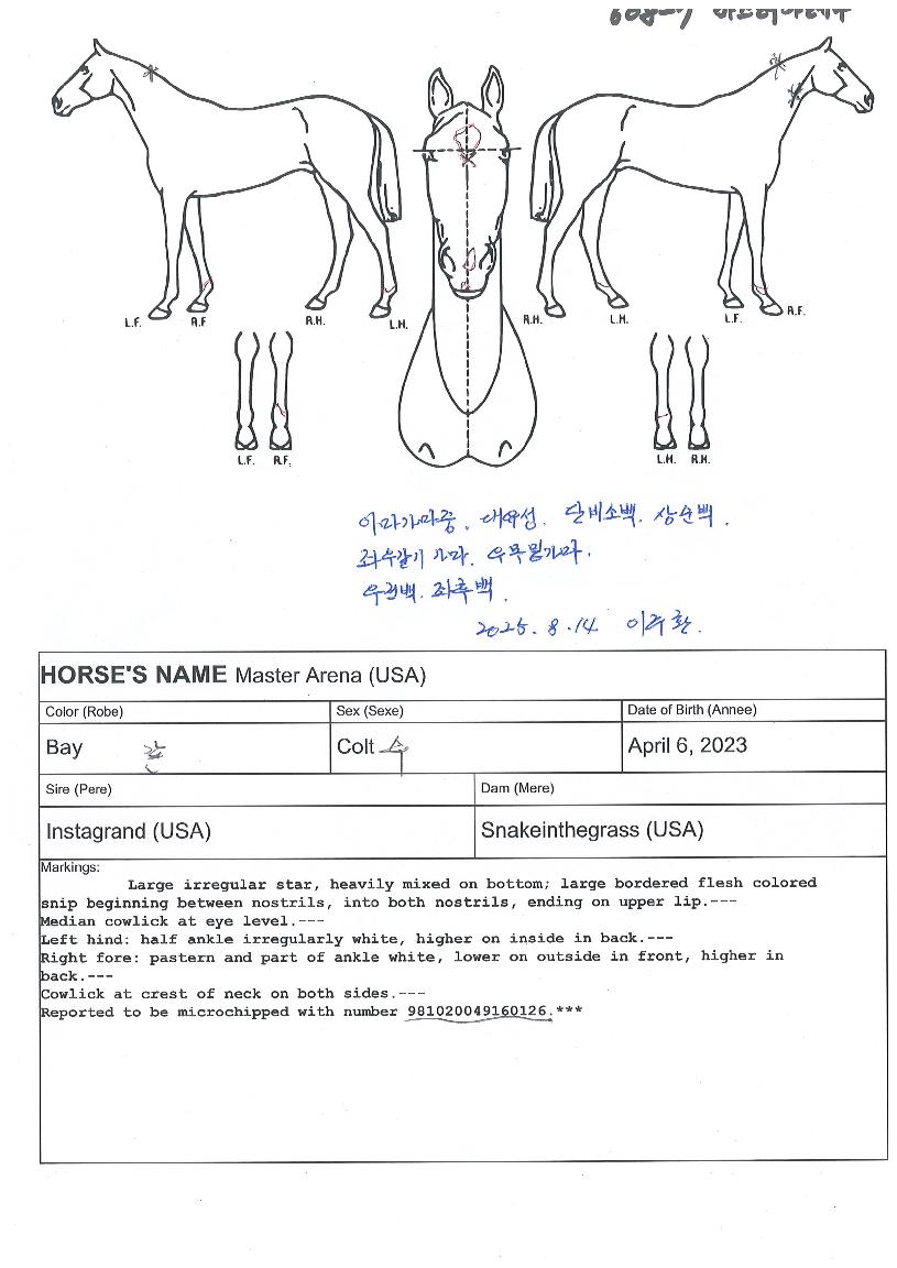 ¸¶½ºÅ;Ʒ¹³ªÀÇ Ãø¸é,¿ì¸é,µÞ¸é,µÎ»ó,´Ù¸®ÀÇ Æ¯Â¡µµÇØ