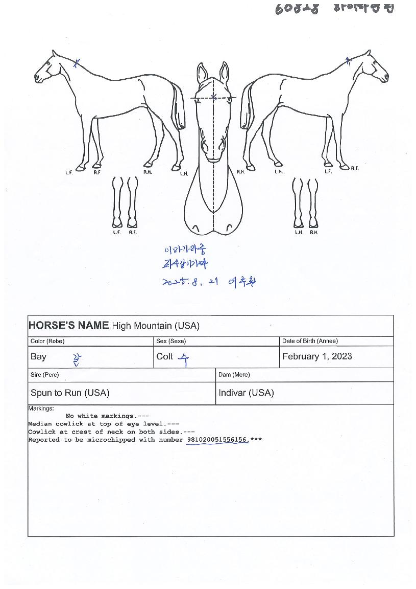 ���̸���ƾ�� ����,���,�޸�,�λ�,�ٸ��� Ư¡����