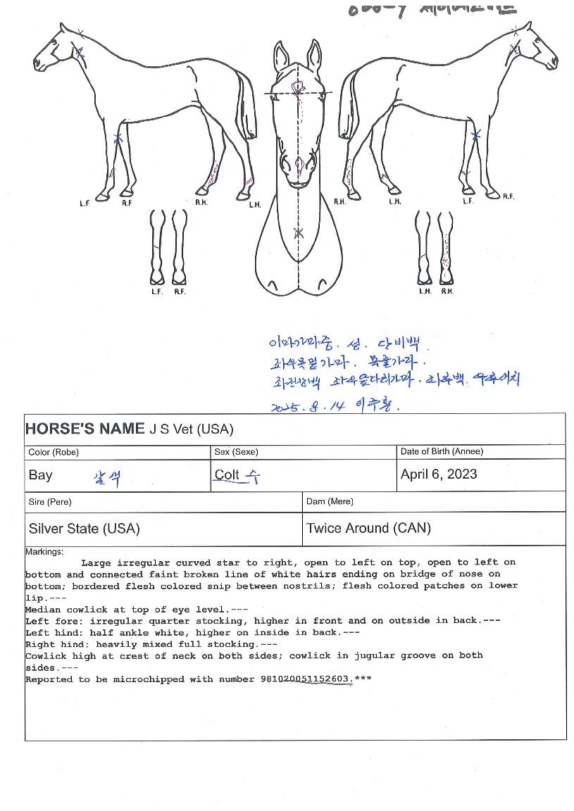 ���̿�����Ʈ�� ����,���,�޸�,�λ�,�ٸ��� Ư¡����