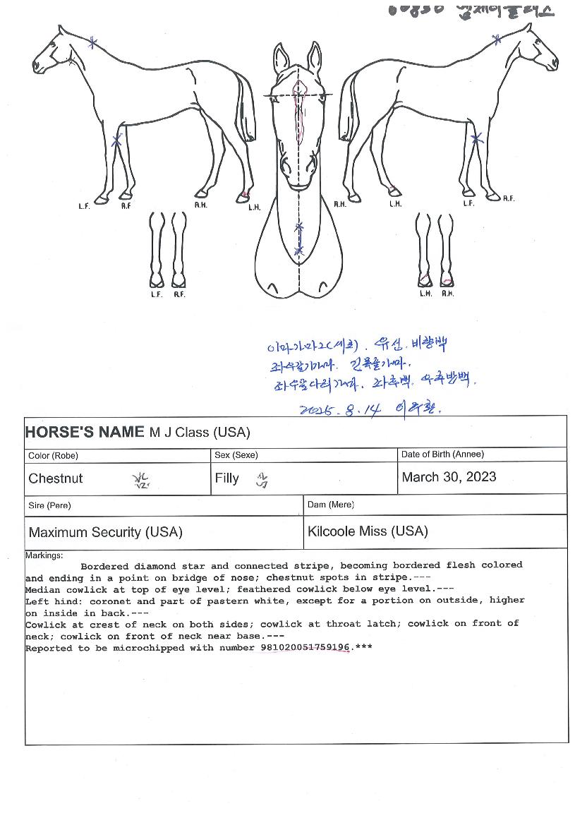 ¿¥Á¦ÀÌŬ·¡½ºÀÇ Ãø¸é,¿ì¸é,µÞ¸é,µÎ»ó,´Ù¸®ÀÇ Æ¯Â¡µµÇØ