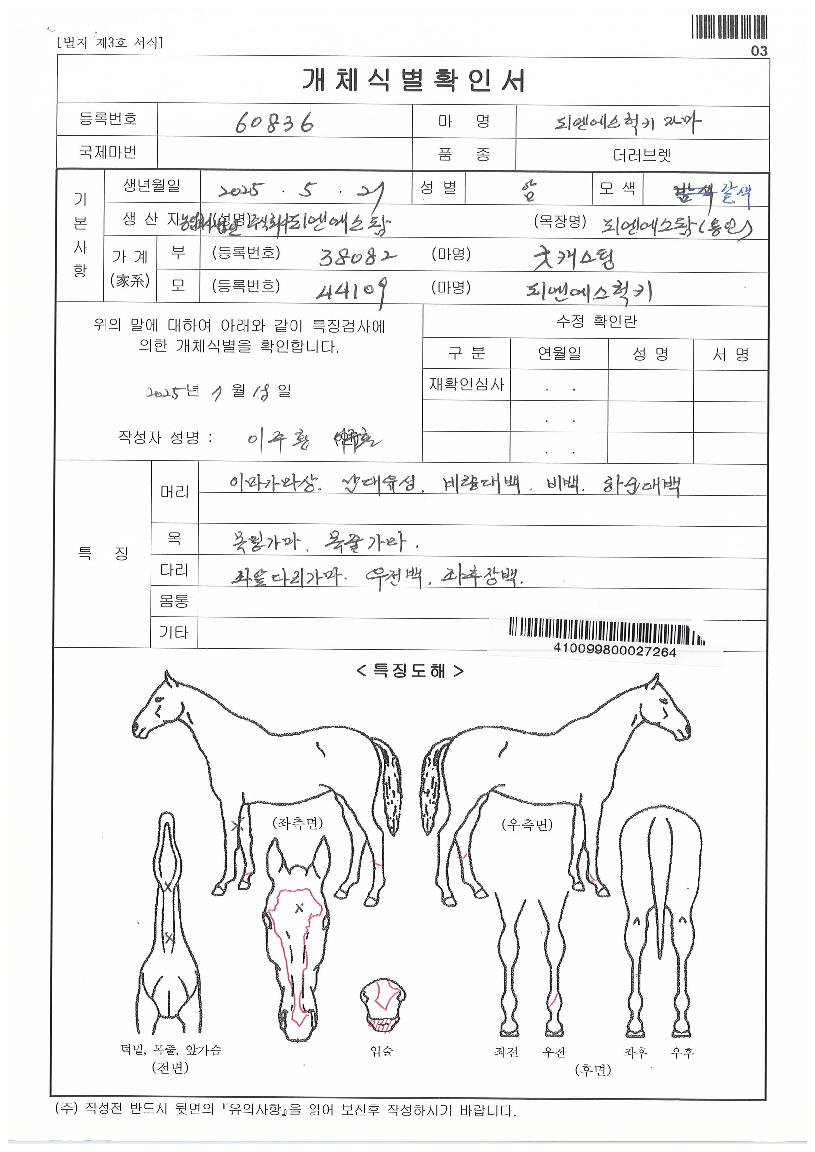 ÇÇ¿£¿¡½º·°Å°ÀÚ¸¶ÀÇ Ãø¸é,¿ì¸é,µÞ¸é,µÎ»ó,´Ù¸®ÀÇ Æ¯Â¡µµÇØ