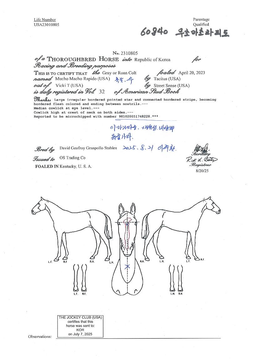 ���ʸ��ʶ��ǵ��� ����,���,�޸�,�λ�,�ٸ��� Ư¡����