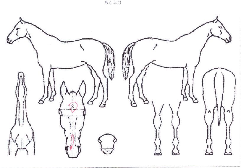 ġ���������� ����,���,�޸�,�λ�,�ٸ��� Ư¡����