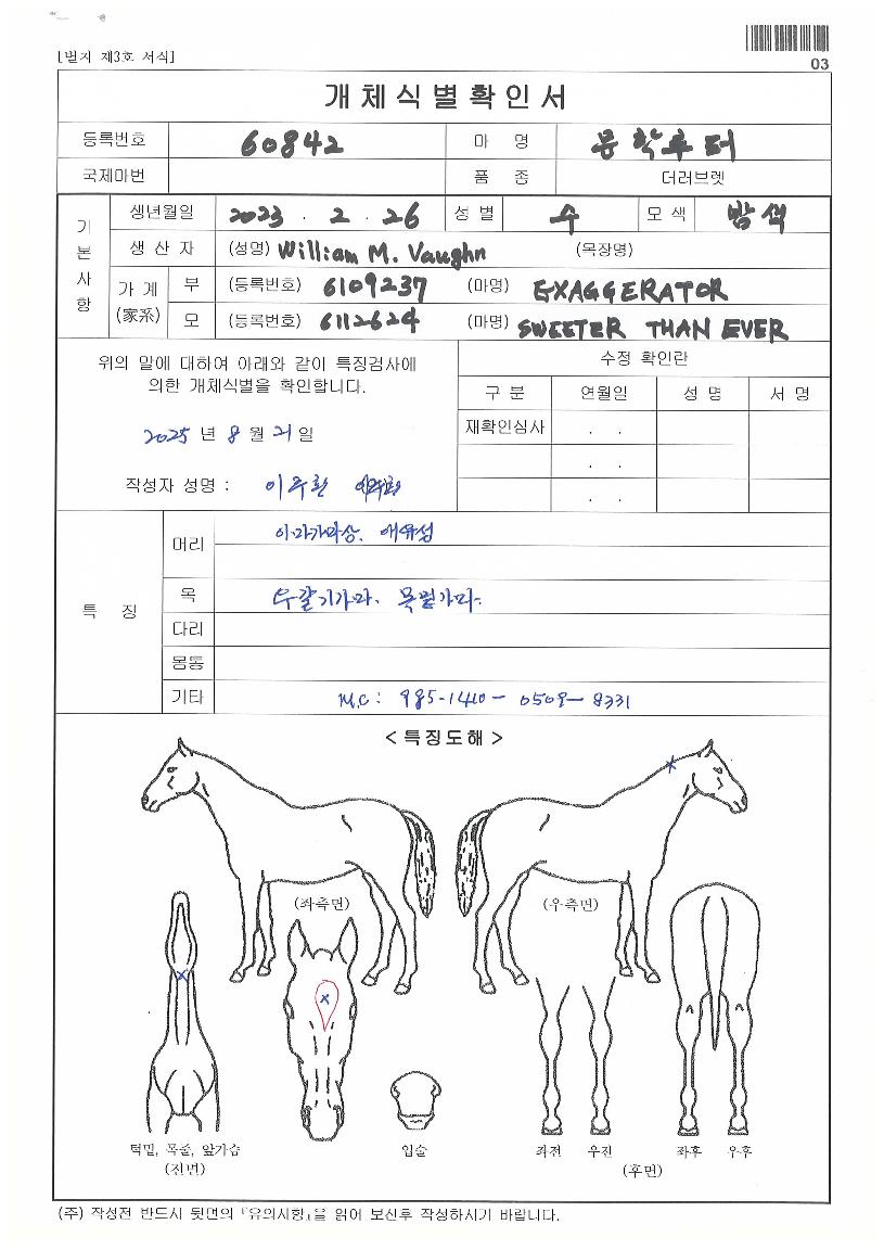 ¹®ÇзçÆÛÀÇ Ãø¸é,¿ì¸é,µÞ¸é,µÎ»ó,´Ù¸®ÀÇ Æ¯Â¡µµÇØ