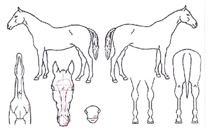 ���ֽ��ڶ��� ����,���,�޸�,�λ�,�ٸ��� Ư¡����