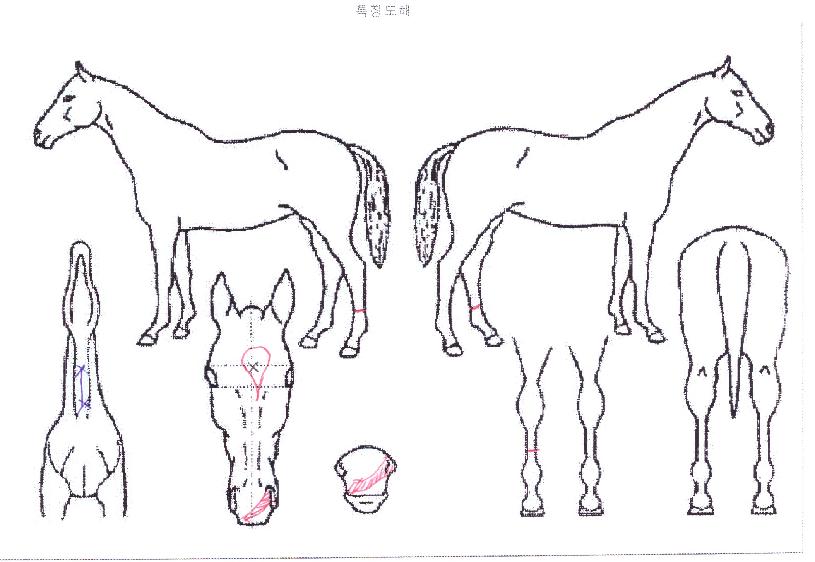 ¾ÆÃ³ÇÏÆ®ÀÇ Ãø¸é,¿ì¸é,µÞ¸é,µÎ»ó,´Ù¸®ÀÇ Æ¯Â¡µµÇØ