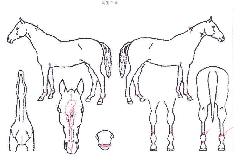 ºñ¿ùÀDzÞÀÇ Ãø¸é,¿ì¸é,µÞ¸é,µÎ»ó,´Ù¸®ÀÇ Æ¯Â¡µµÇØ