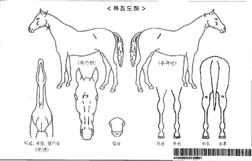 ǻ�����Ϸ��ڸ��� ����,���,�޸�,�λ�,�ٸ��� Ư¡����