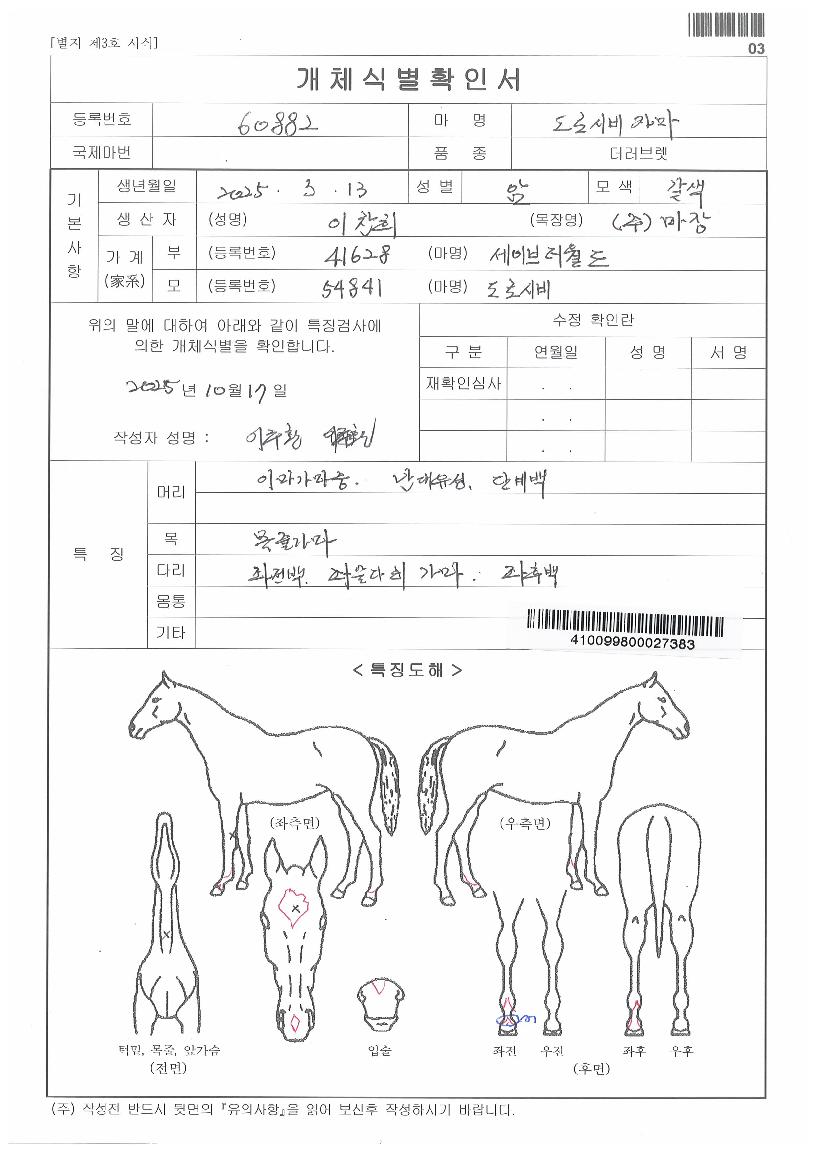 µµ·Î½ÃºñÀÚ¸¶ÀÇ Ãø¸é,¿ì¸é,µÞ¸é,µÎ»ó,´Ù¸®ÀÇ Æ¯Â¡µµÇØ