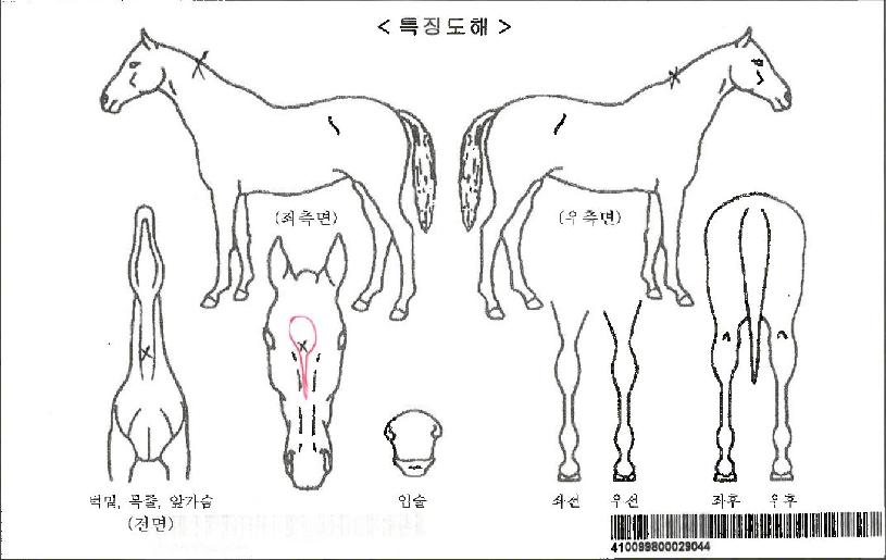 ��������Ÿ�ڸ��� ����,���,�޸�,�λ�,�ٸ��� Ư¡����