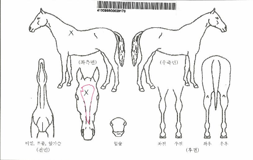 ���ڶ����ڸ��� ����,���,�޸�,�λ�,�ٸ��� Ư¡����