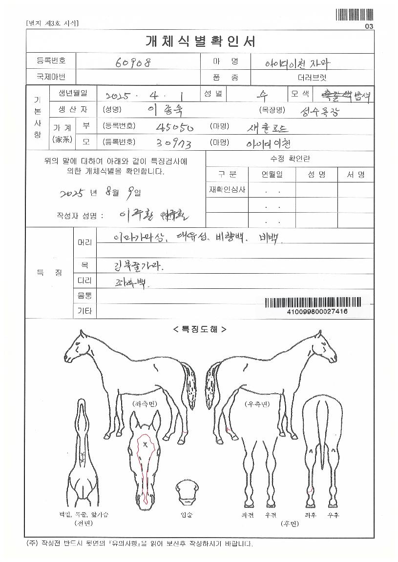 ���̵���õ�ڸ��� ����,���,�޸�,�λ�,�ٸ��� Ư¡����