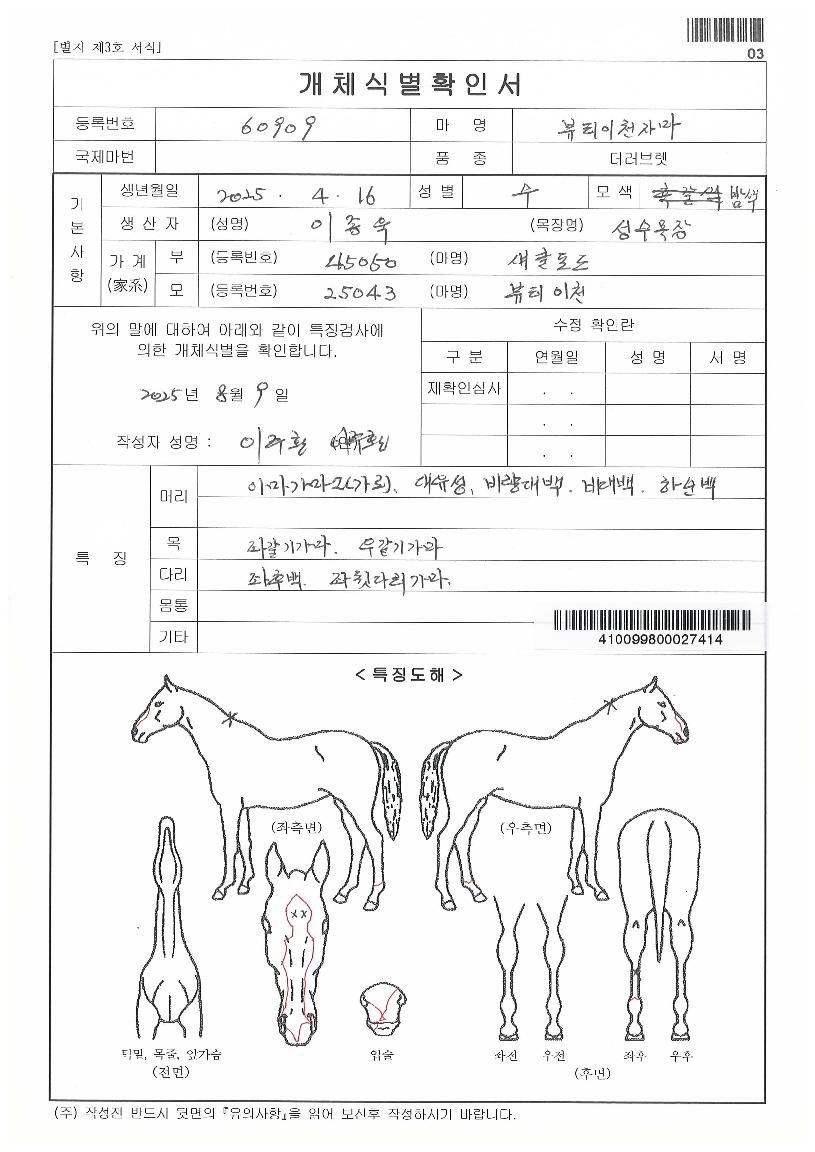 ºäƼÀÌõÀÚ¸¶ÀÇ Ãø¸é,¿ì¸é,µÞ¸é,µÎ»ó,´Ù¸®ÀÇ Æ¯Â¡µµÇØ