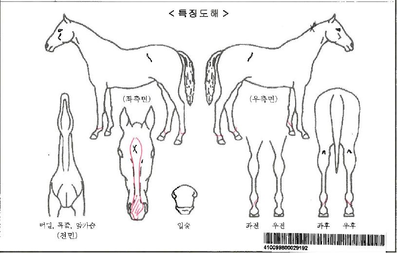 �����Ϲ��ڸ��� ����,���,�޸�,�λ�,�ٸ��� Ư¡����