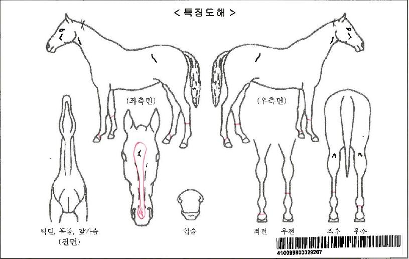 ���������ڸ��� ����,���,�޸�,�λ�,�ٸ��� Ư¡����