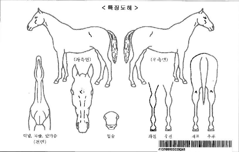 ����Ƽ���̵��ڸ��� ����,���,�޸�,�λ�,�ٸ��� Ư¡����