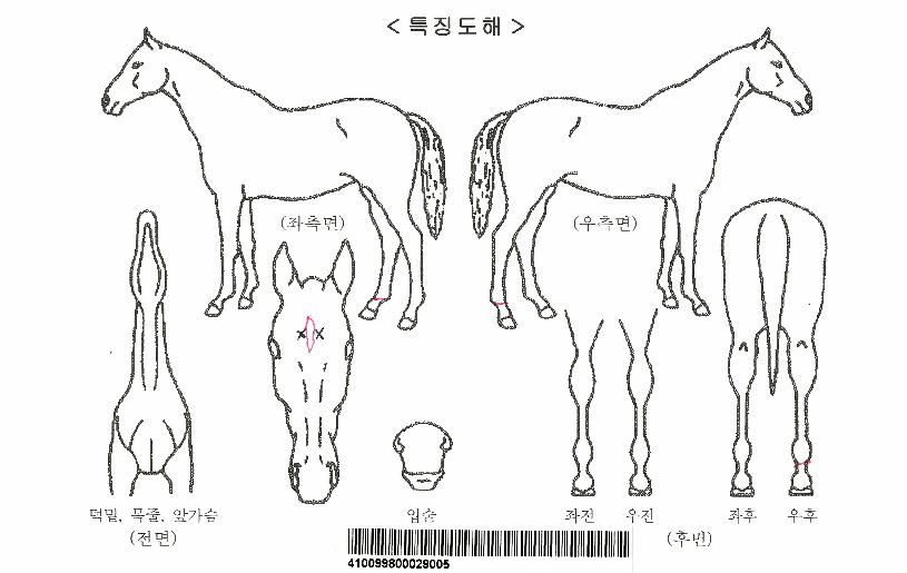 ���̽����ڸ��� ����,���,�޸�,�λ�,�ٸ��� Ư¡����