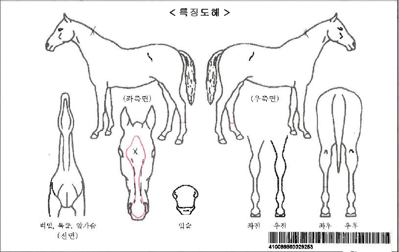 �����������ڸ��� ����,���,�޸�,�λ�,�ٸ��� Ư¡����