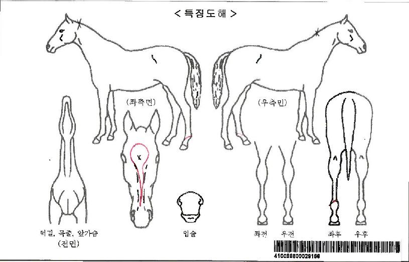 �������ڸ��� ����,���,�޸�,�λ�,�ٸ��� Ư¡����