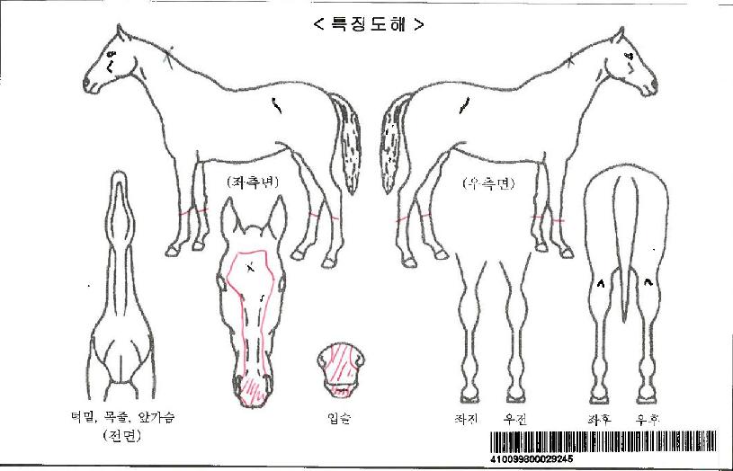 ¸ÞÀÌÀúÁî°É¥±ÀÚ¸¶ÀÇ Ãø¸é,¿ì¸é,µÞ¸é,µÎ»ó,´Ù¸®ÀÇ Æ¯Â¡µµÇØ