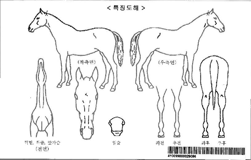 ¸®ºê¿¡ºê¸®µ¥ÀÌÀÚ¸¶ÀÇ Ãø¸é,¿ì¸é,µÞ¸é,µÎ»ó,´Ù¸®ÀÇ Æ¯Â¡µµÇØ