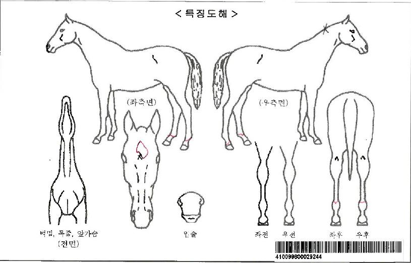 �۽�Ʈ��ũ�ڸ��� ����,���,�޸�,�λ�,�ٸ��� Ư¡����