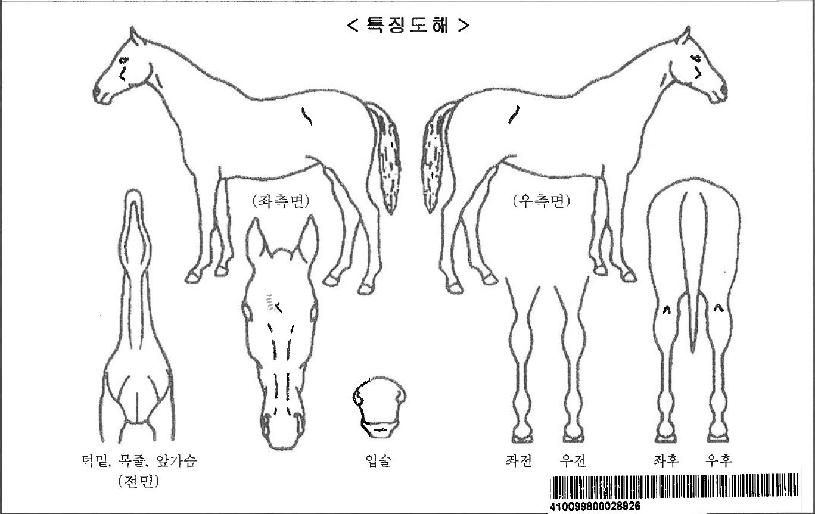·¯ºê¾ÆÄ¡ÀÚ¸¶ÀÇ Ãø¸é,¿ì¸é,µÞ¸é,µÎ»ó,´Ù¸®ÀÇ Æ¯Â¡µµÇØ
