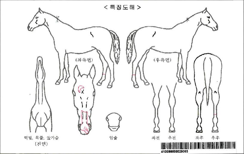 ������ŷ���ڸ��� ����,���,�޸�,�λ�,�ٸ��� Ư¡����