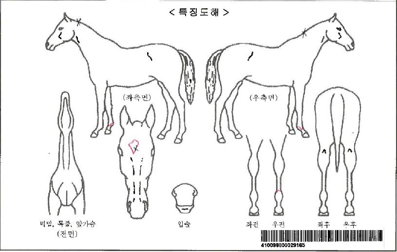 ÆäÀÎÆ®µ©ºí·ç¿þÀÌÀÚ¸¶ÀÇ Ãø¸é,¿ì¸é,µÞ¸é,µÎ»ó,´Ù¸®ÀÇ Æ¯Â¡µµÇØ