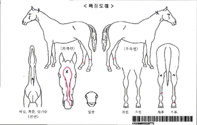 ����ȣ�ٽ��ڸ��� ����,���,�޸�,�λ�,�ٸ��� Ư¡����