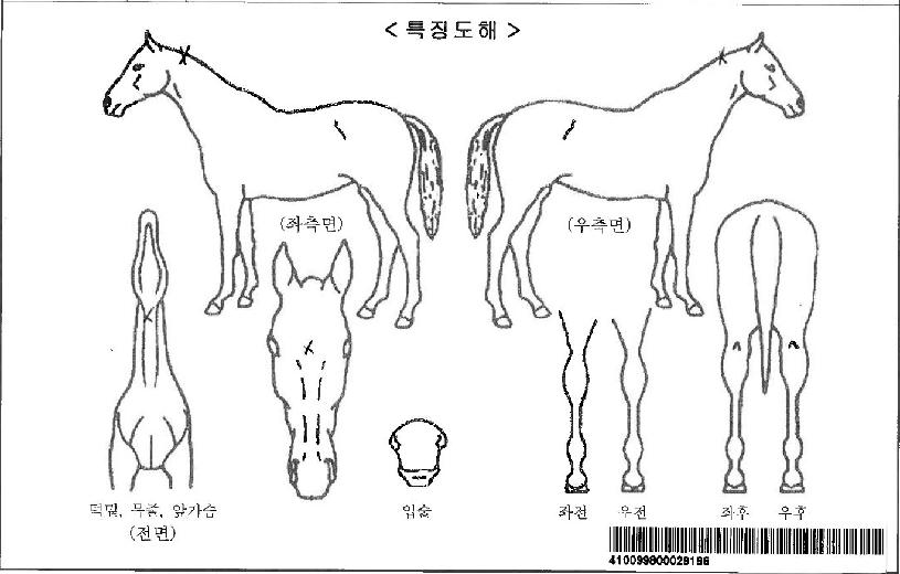 ���������ڸ��� ����,���,�޸�,�λ�,�ٸ��� Ư¡����