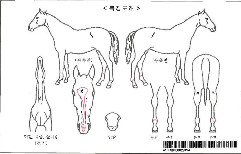 ������Ʈ���ڸ��� ����,���,�޸�,�λ�,�ٸ��� Ư¡����