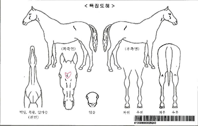 �ƿ������ڸ��� ����,���,�޸�,�λ�,�ٸ��� Ư¡����