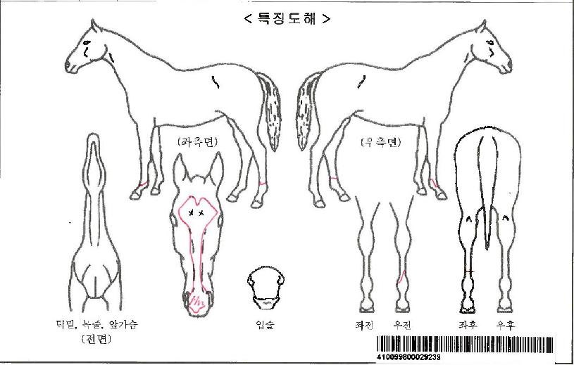 ½ÃÅ©¸®Æ¼ºê·¹À̵ðÀÚ¸¶ÀÇ Ãø¸é,¿ì¸é,µÞ¸é,µÎ»ó,´Ù¸®ÀÇ Æ¯Â¡µµÇØ