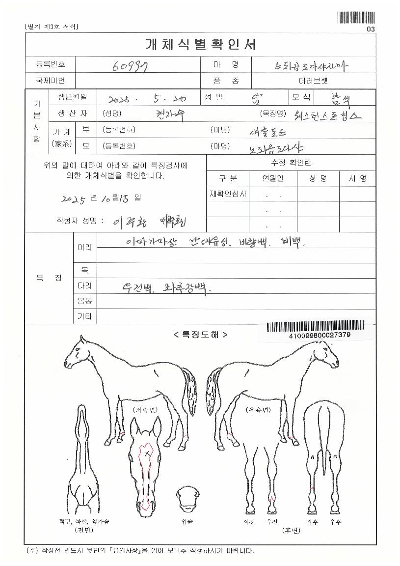 ���ǰ����ٻ��ڸ��� ����,���,�޸�,�λ�,�ٸ��� Ư¡����