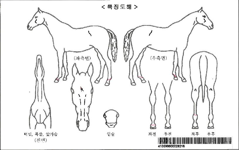 �������ڸ��� ����,���,�޸�,�λ�,�ٸ��� Ư¡����