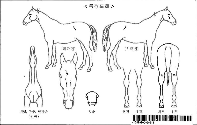 �ڷ������ڸ��� ����,���,�޸�,�λ�,�ٸ��� Ư¡����