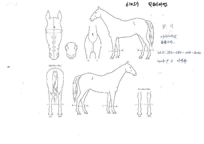 µñÅ×À̾ðÀÇ Ãø¸é,¿ì¸é,µÞ¸é,µÎ»ó,´Ù¸®ÀÇ Æ¯Â¡µµÇØ