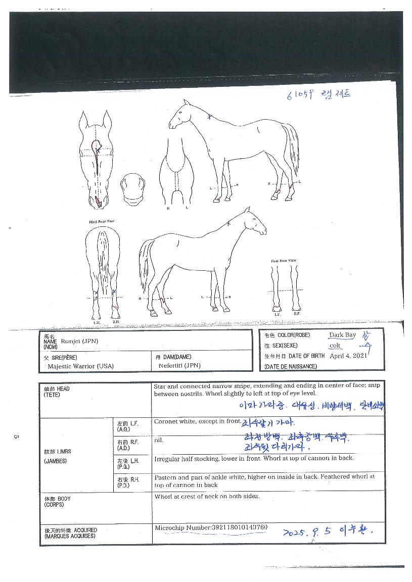 ·¥Á¦Æ®ÀÇ Ãø¸é,¿ì¸é,µÞ¸é,µÎ»ó,´Ù¸®ÀÇ Æ¯Â¡µµÇØ