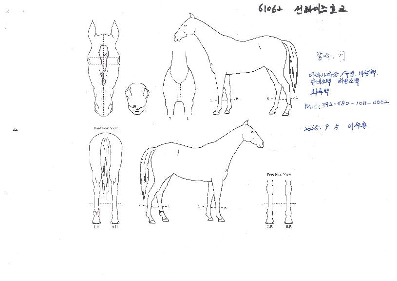 ��������ȣũ�� ����,���,�޸�,�λ�,�ٸ��� Ư¡����