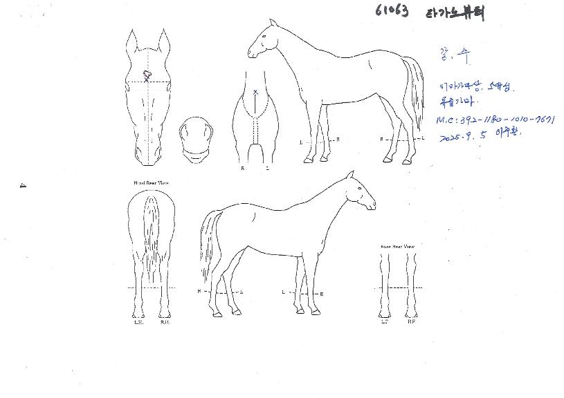 Ÿ�����Ƽ�� ����,���,�޸�,�λ�,�ٸ��� Ư¡����