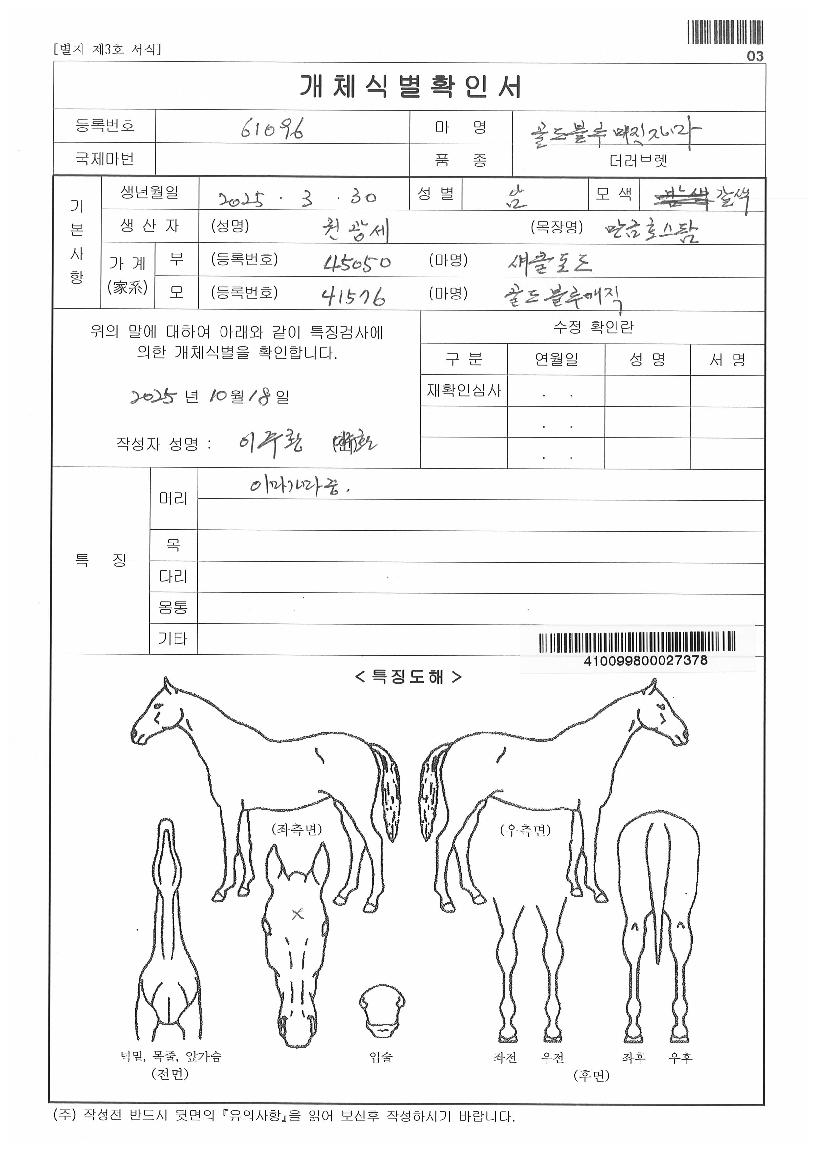 °ñµåºí·ç¸ÅÁ÷ÀÚ¸¶ÀÇ Ãø¸é,¿ì¸é,µÞ¸é,µÎ»ó,´Ù¸®ÀÇ Æ¯Â¡µµÇØ