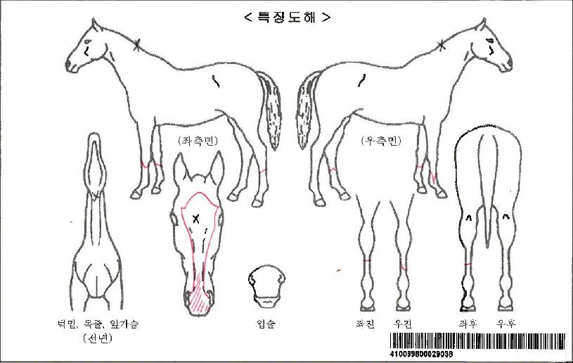 �������ڸ��� ����,���,�޸�,�λ�,�ٸ��� Ư¡����