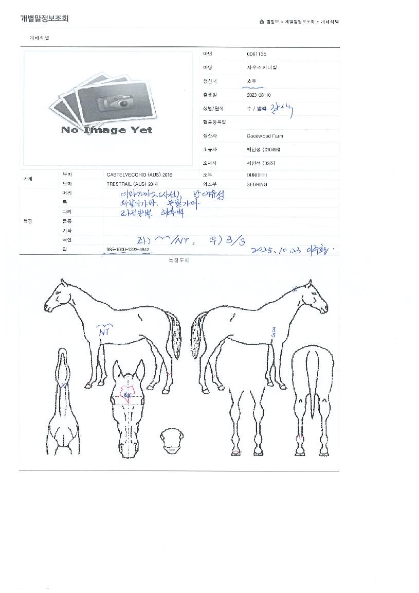 »ç¿ì½ºÄ«´Ï¹ßÀÇ Ãø¸é,¿ì¸é,µÞ¸é,µÎ»ó,´Ù¸®ÀÇ Æ¯Â¡µµÇØ