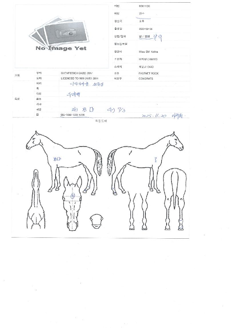 ������ ����,���,�޸�,�λ�,�ٸ��� Ư¡����