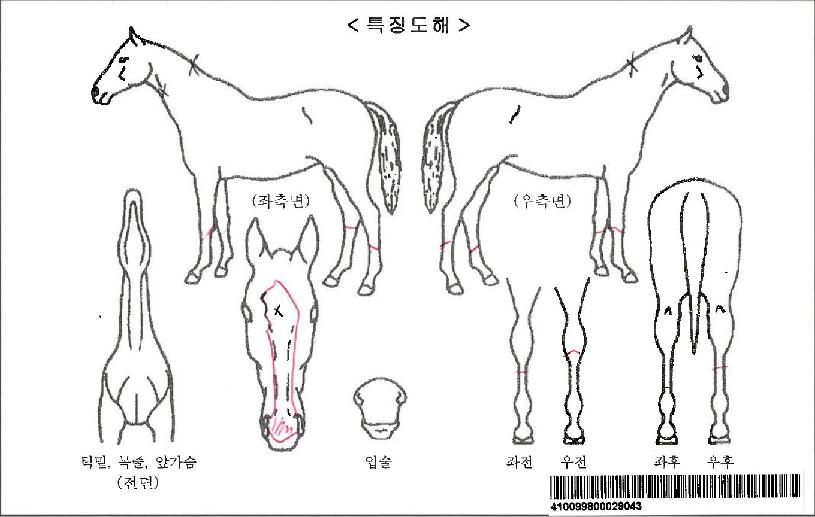 �и����ũ�ڸ��� ����,���,�޸�,�λ�,�ٸ��� Ư¡����