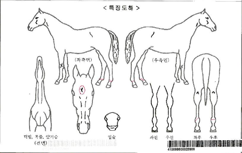 �������� ����,���,�޸�,�λ�,�ٸ��� Ư¡����